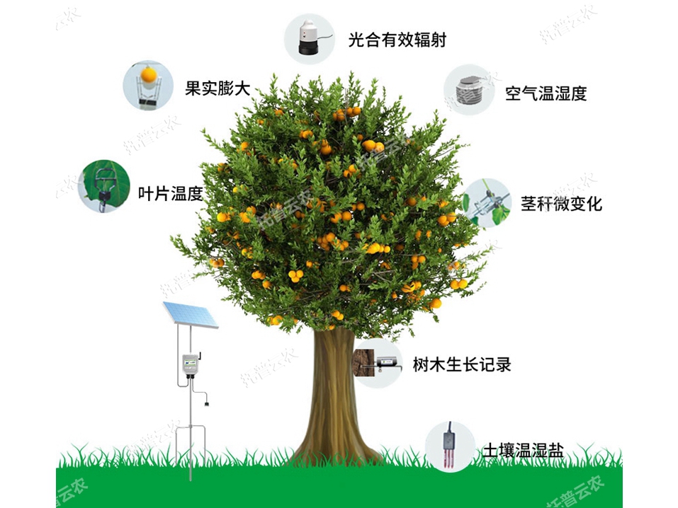 TP-ZWSL植物生理生態(tài)監(jiān)測系統(tǒng)