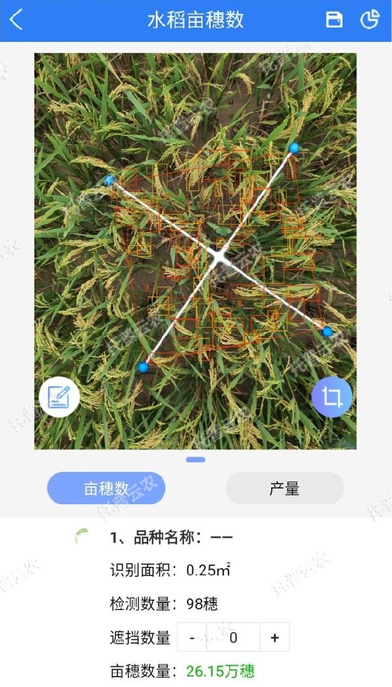 水稻測產(chǎn)，要用精準(zhǔn)高效又便捷的畝穗數(shù)測量系統(tǒng)TPDS-1